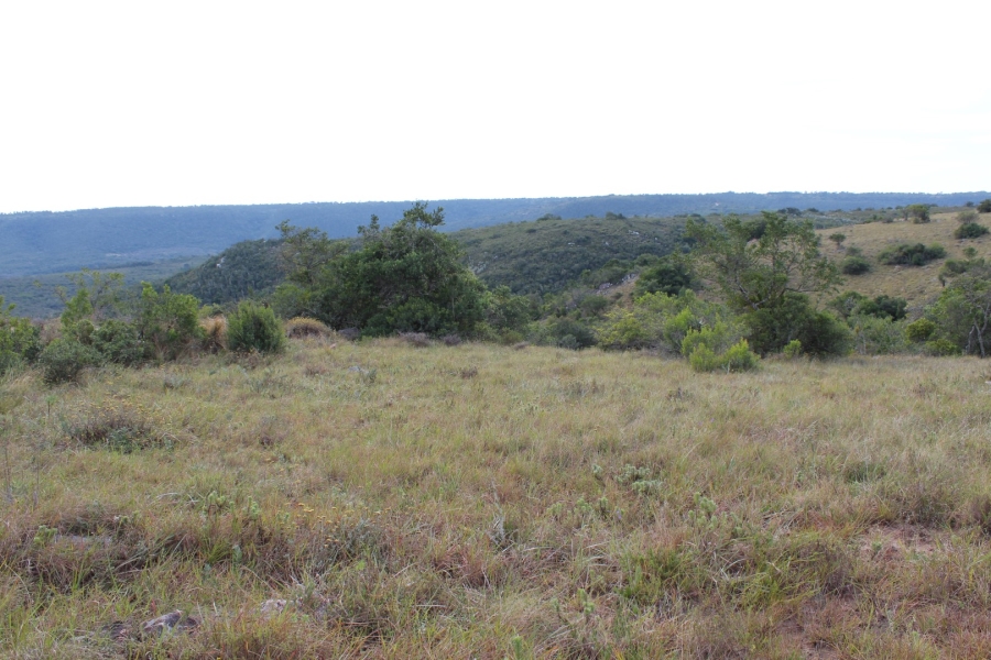 0 Bedroom Property for Sale in Bathurst Eastern Cape